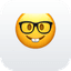 Status Nerd logo