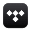 Tidal logo